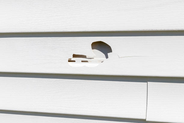 Best Shed Removal  in West Branch, MI