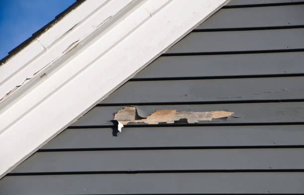 Best Property Management Cleanouts  in West Branch, MI